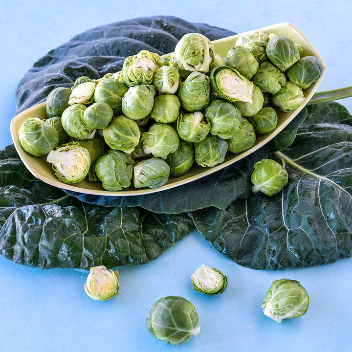 A platter of Long Island Improved Brussels Sprouts on a bed of leaves.