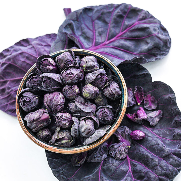 A bowl full of freshly picked Red Rubine Brussels Sprouts resting on a bed of purple leaves.