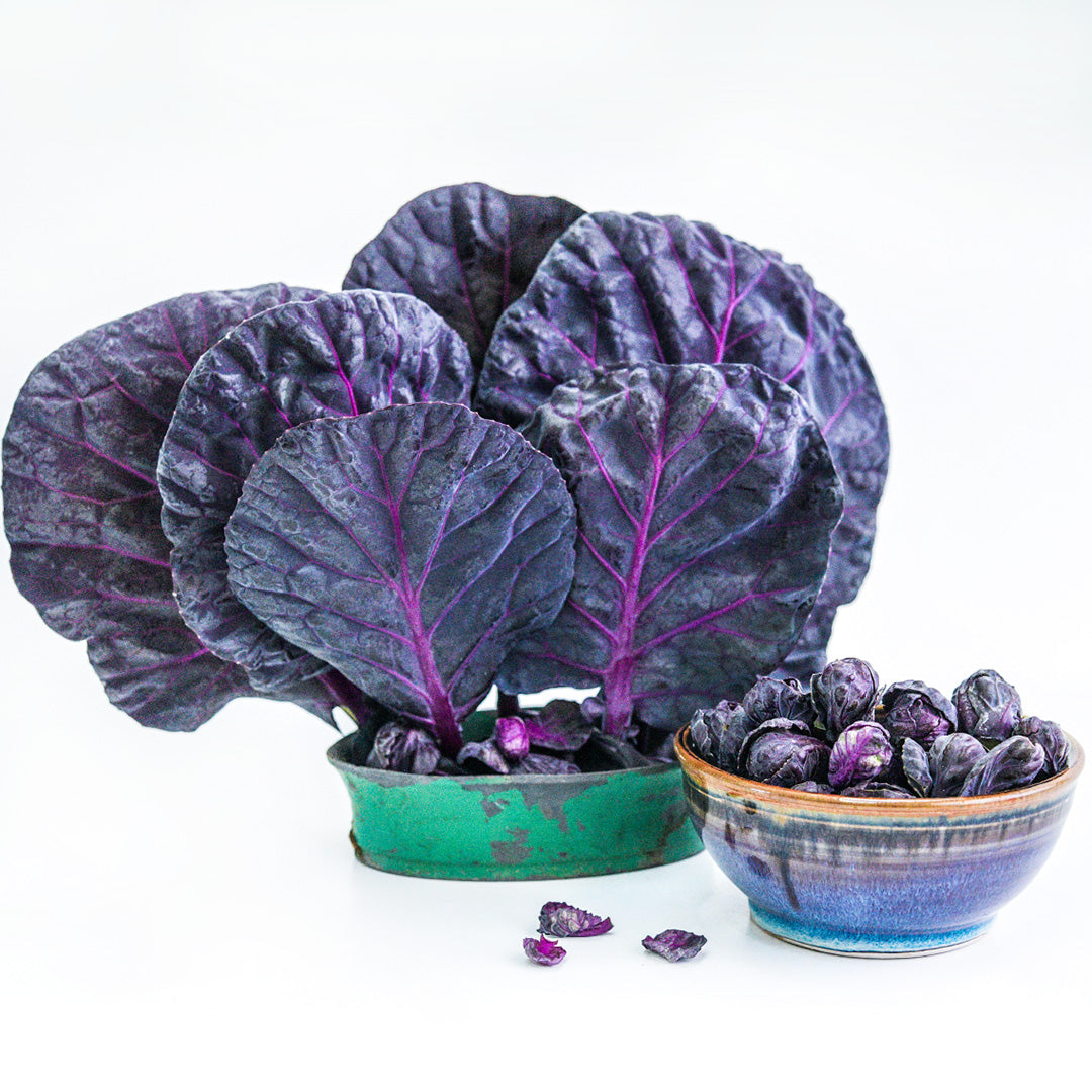 Red Rubine Brussels Sprouts in a ceramic bowl with leaves in an arrangement on a white background.
