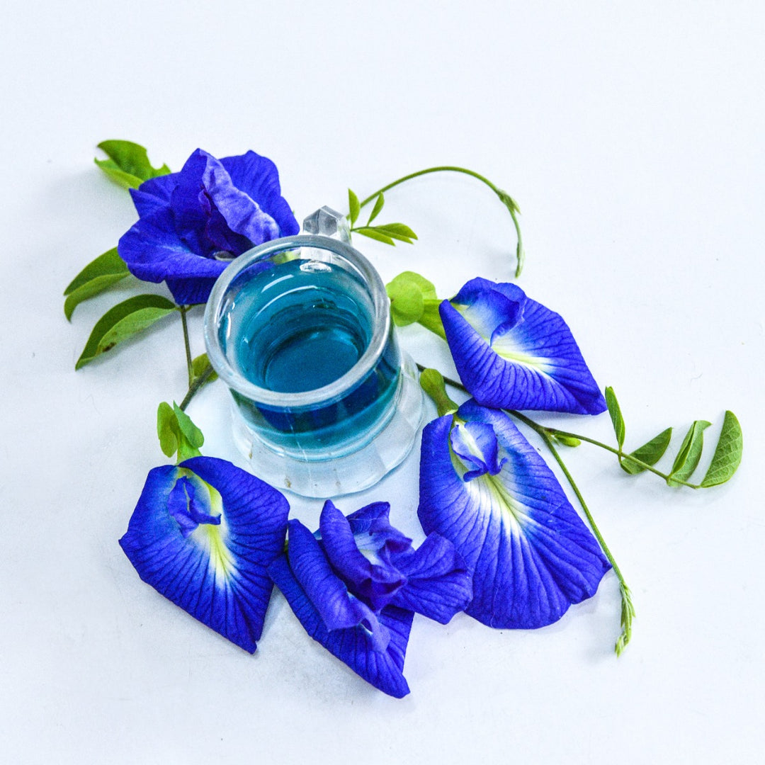 Thai Blue Butterfly Pea tea surrounded by blooms and foliage on light background.