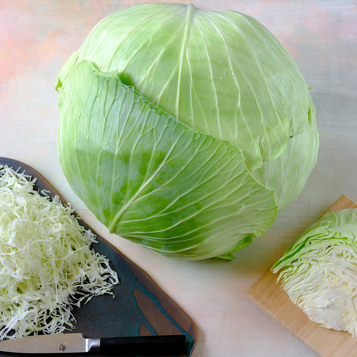A head of Brunswick Cabbage with shredded cabbage on a plate with a knife.