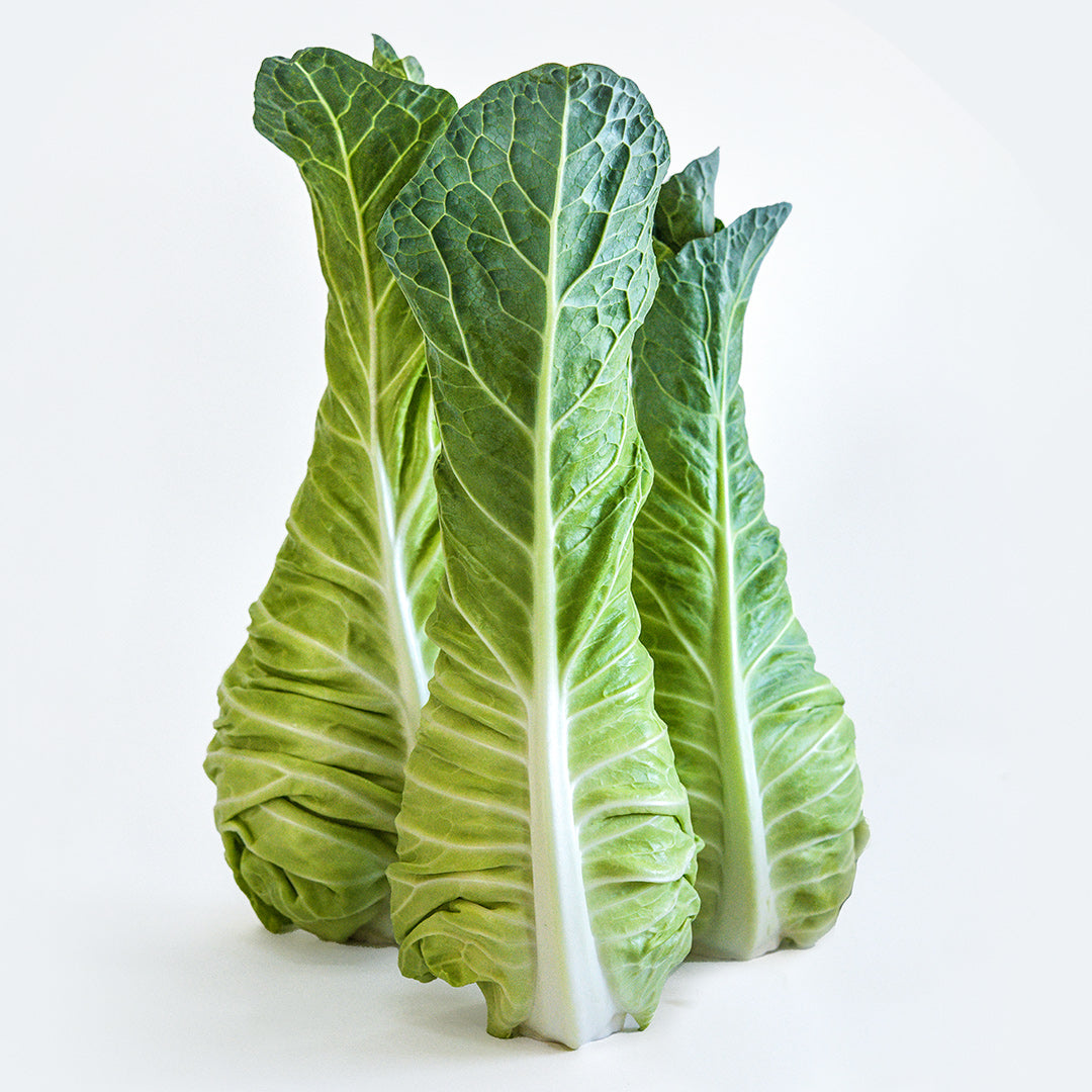 A trio of Filderkraut Cabbage heads on white background.