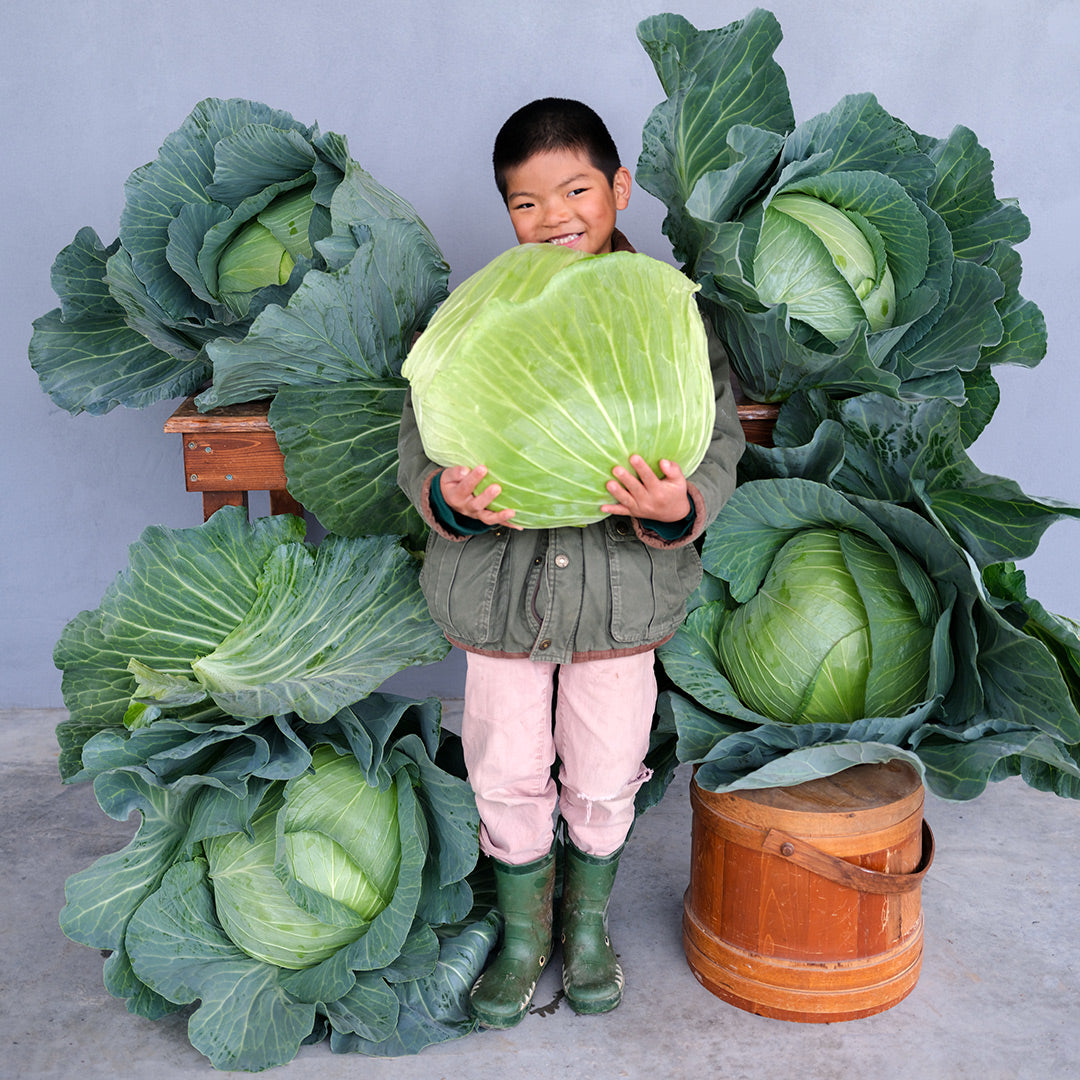 A smiling boy holding a giant head of Premium Late Flat Dutch Cabbage surrounded by more cabbage.