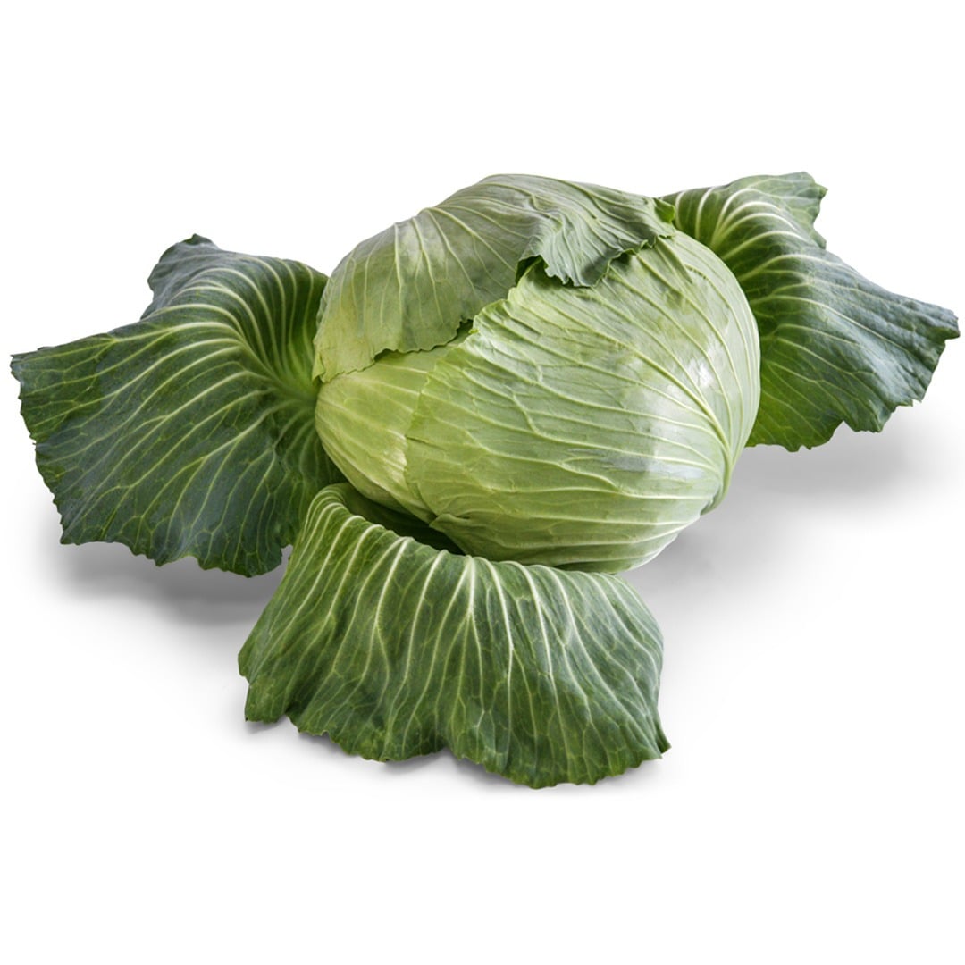 Brunswick Cabbage on a white background.