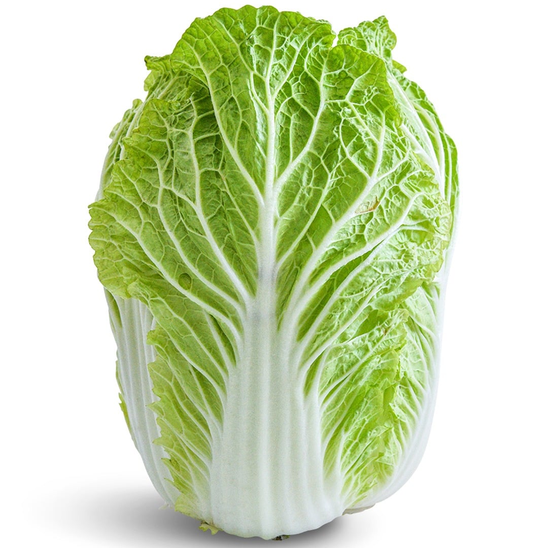 A single head of Hilton Chinese Cabbage on white.