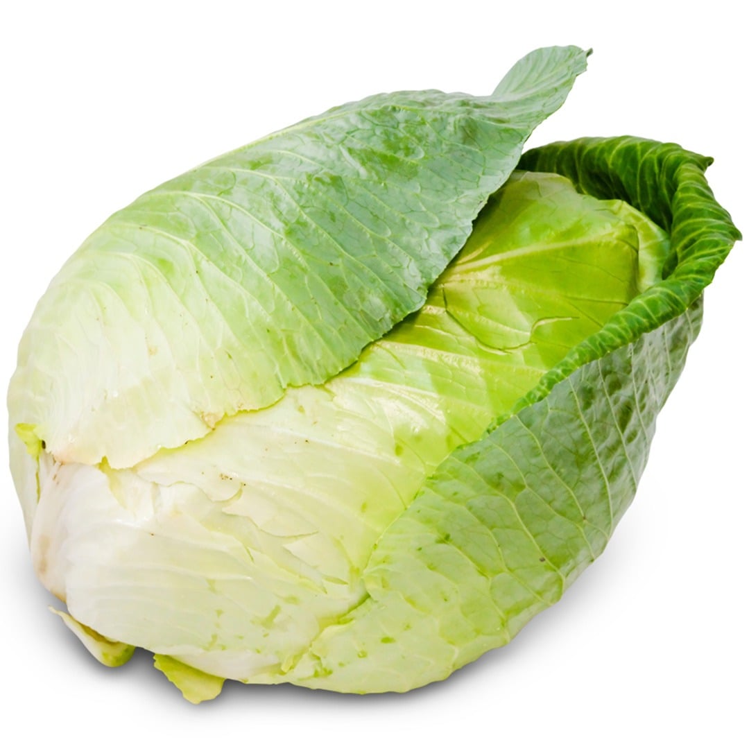 Early Jersey Wakefield Cabbage on a white background.