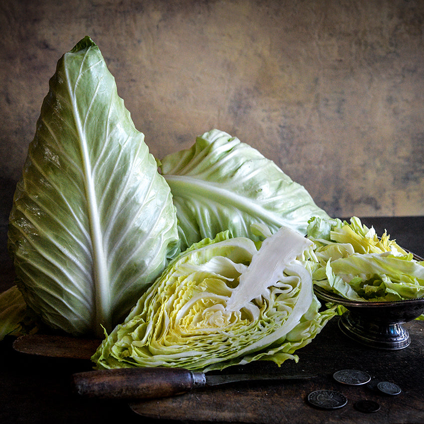 Early Jersey Wakefield Cabbage, whole, halved and shredded