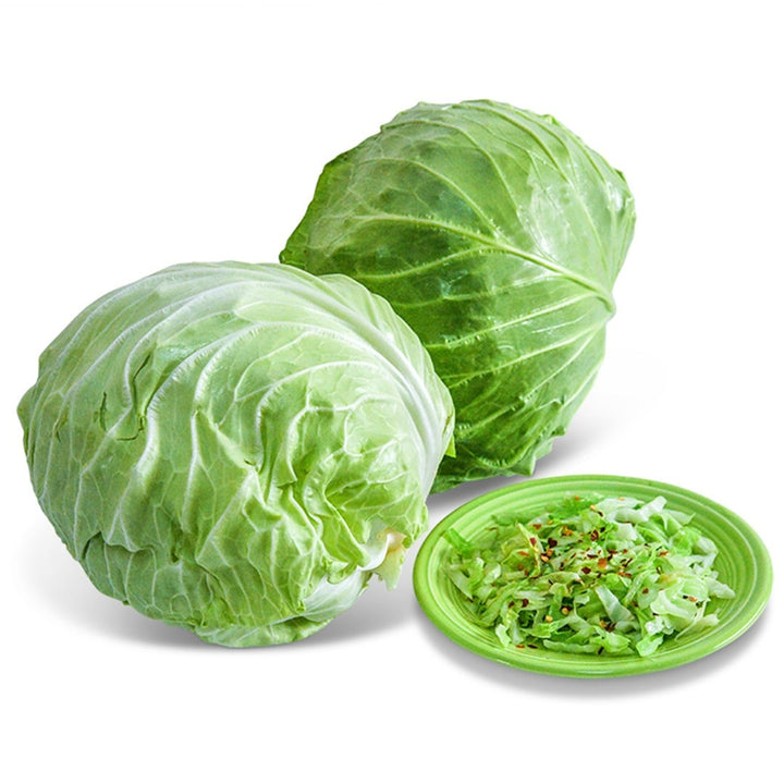 Whole Golden Acre cabbage with shredded cabbage on a green plate with a white background.