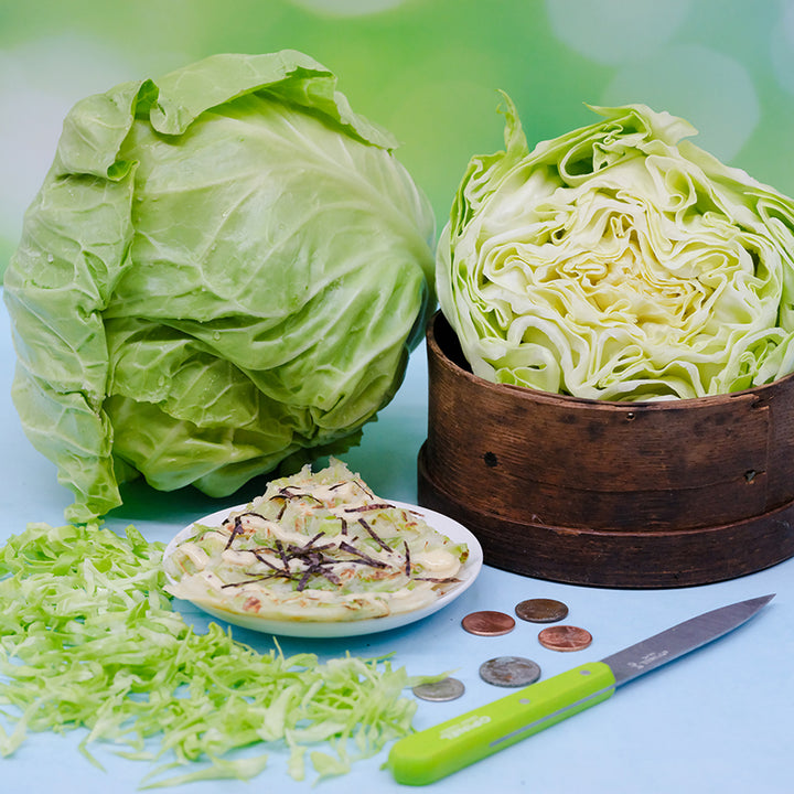 Cabbage Seeds, Golden Acre