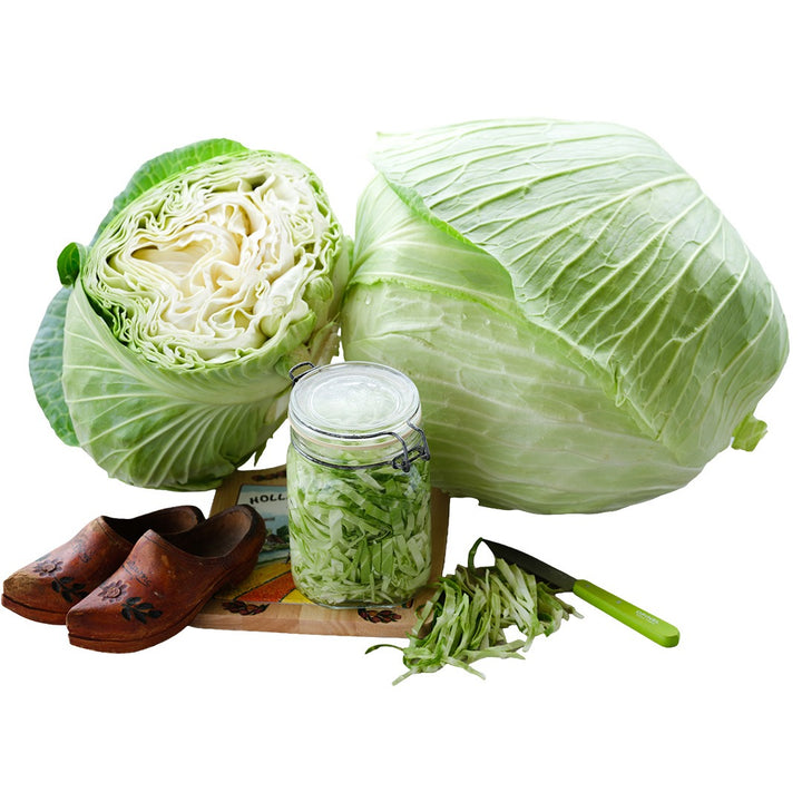 Premium Late Flat Dutch Cabbage with Dutch shoes and cut cabbage on a white background.