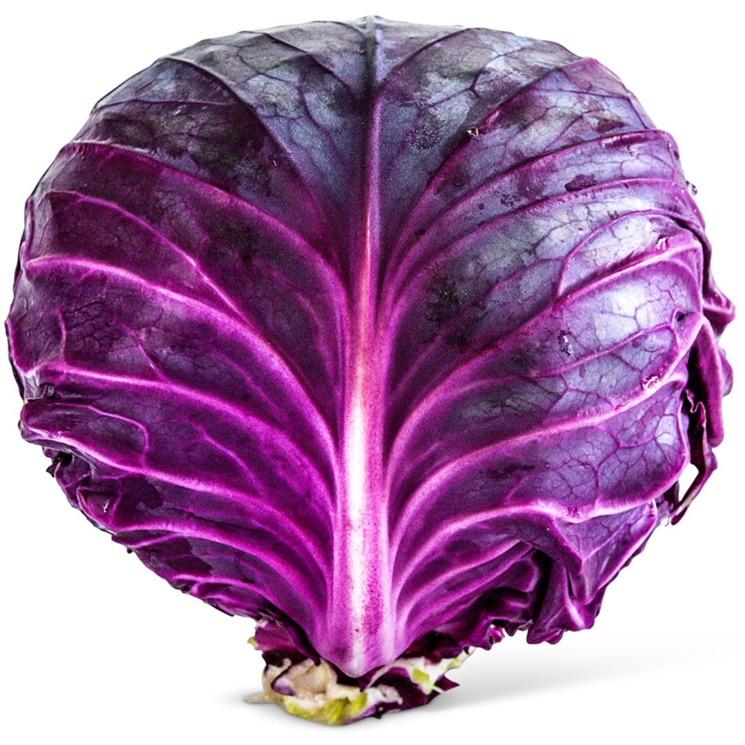 Head of Tete Noire Cabbage on a white background.