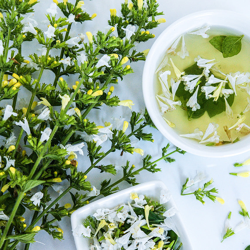 Stems of Marvelette White Calamintha with tea and a bowl full of blooms on a white background.