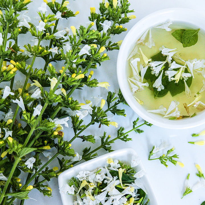 Stems of Marvelette White Calamintha with tea and a bowl full of blooms on a white background.