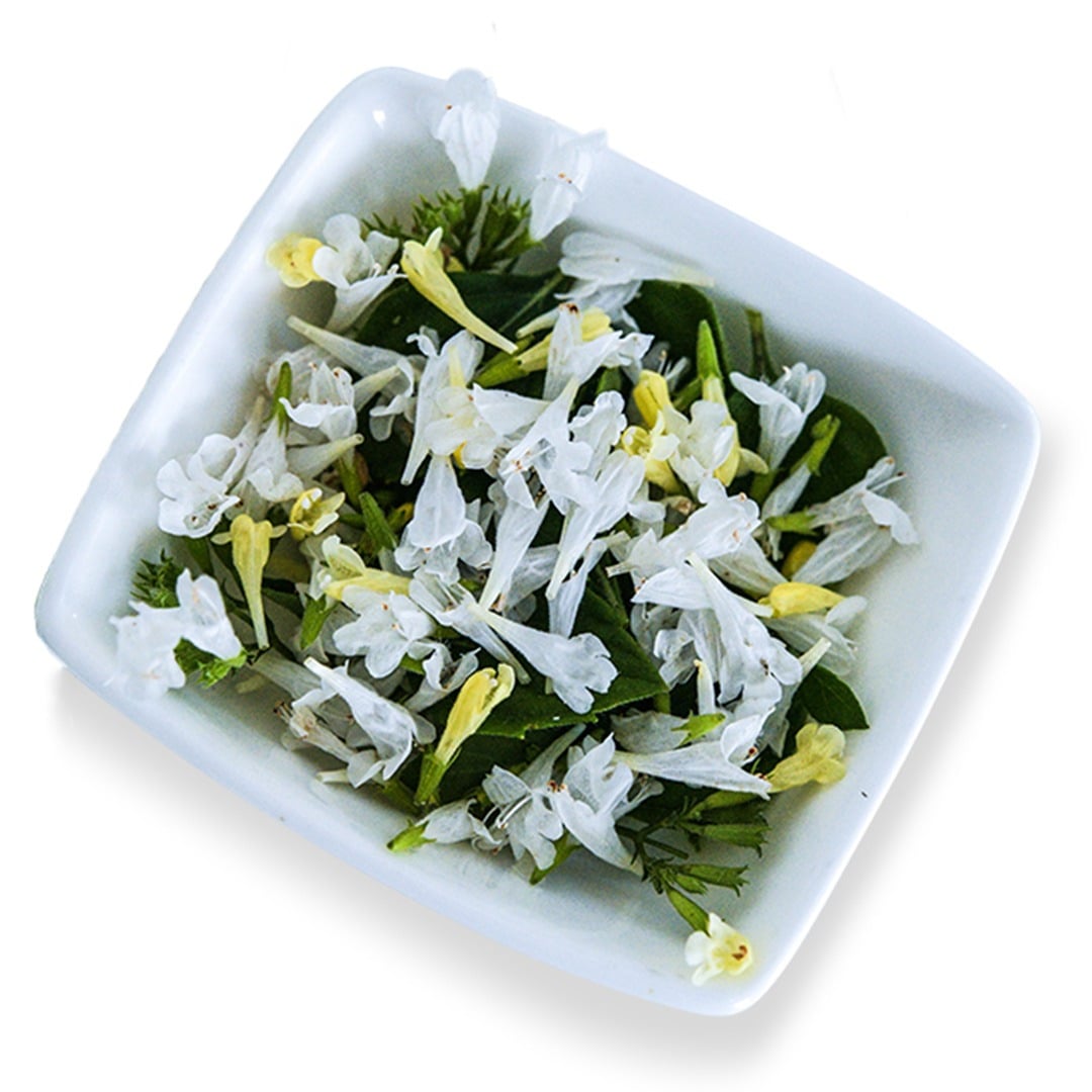A close-up of a little bowl full of Marvelette White Calamintha blooms on a white background