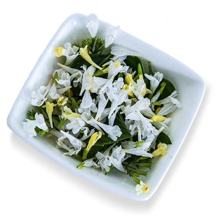 A close-up of a little bowl full of Marvelette White Calamintha blooms on a white background