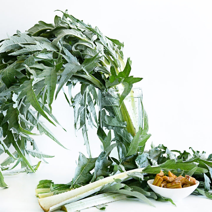 Gobbo Di Nizzia Cardoon in a glass vase surrounded by cooked and fresh cardoon on a white background.