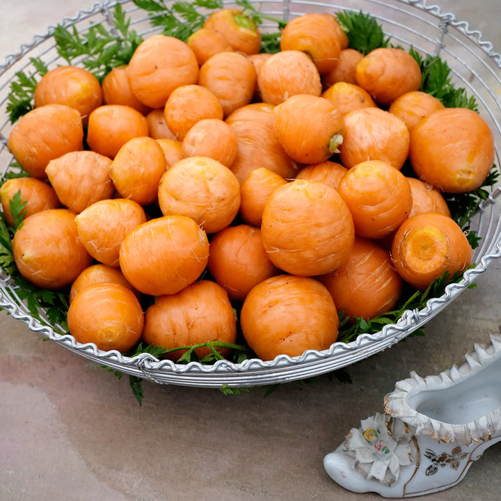 Parisienne Carrots in metal basket with a ceramic French shoe.