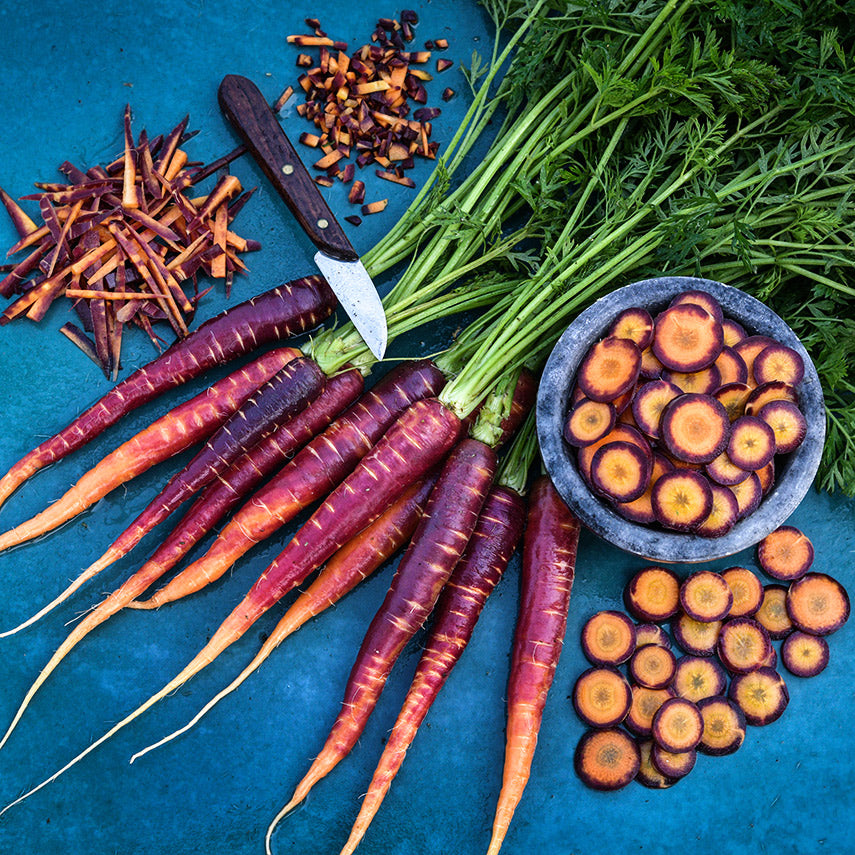 A fan out of whole Lila Lu Sang Carrots with tops surrounded by chopped, sliced and julienne pieces on blue.