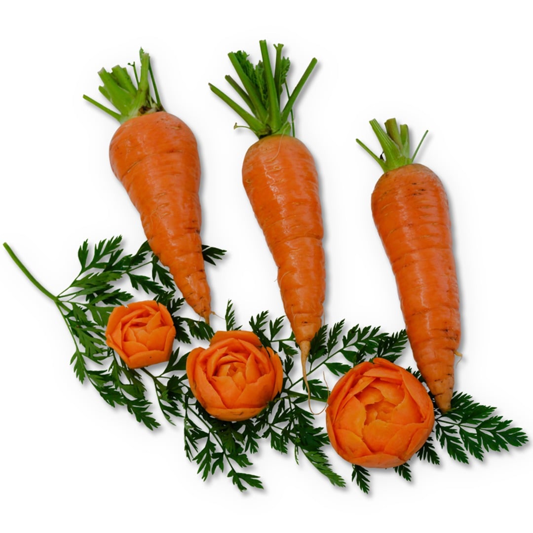 Trio of Danvers 126 Half Long Carrots with foliage on a white background.