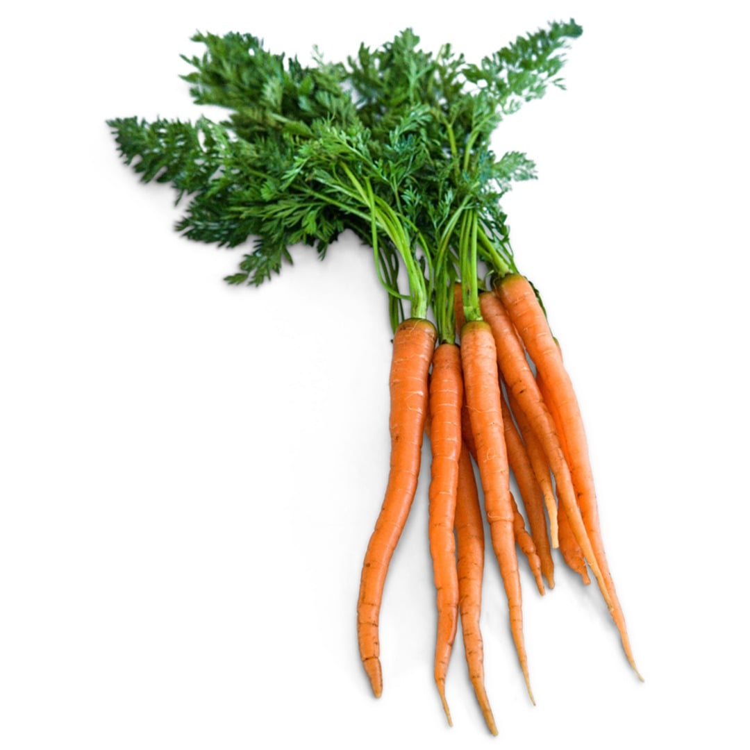 Little Finger Carrots on a white background