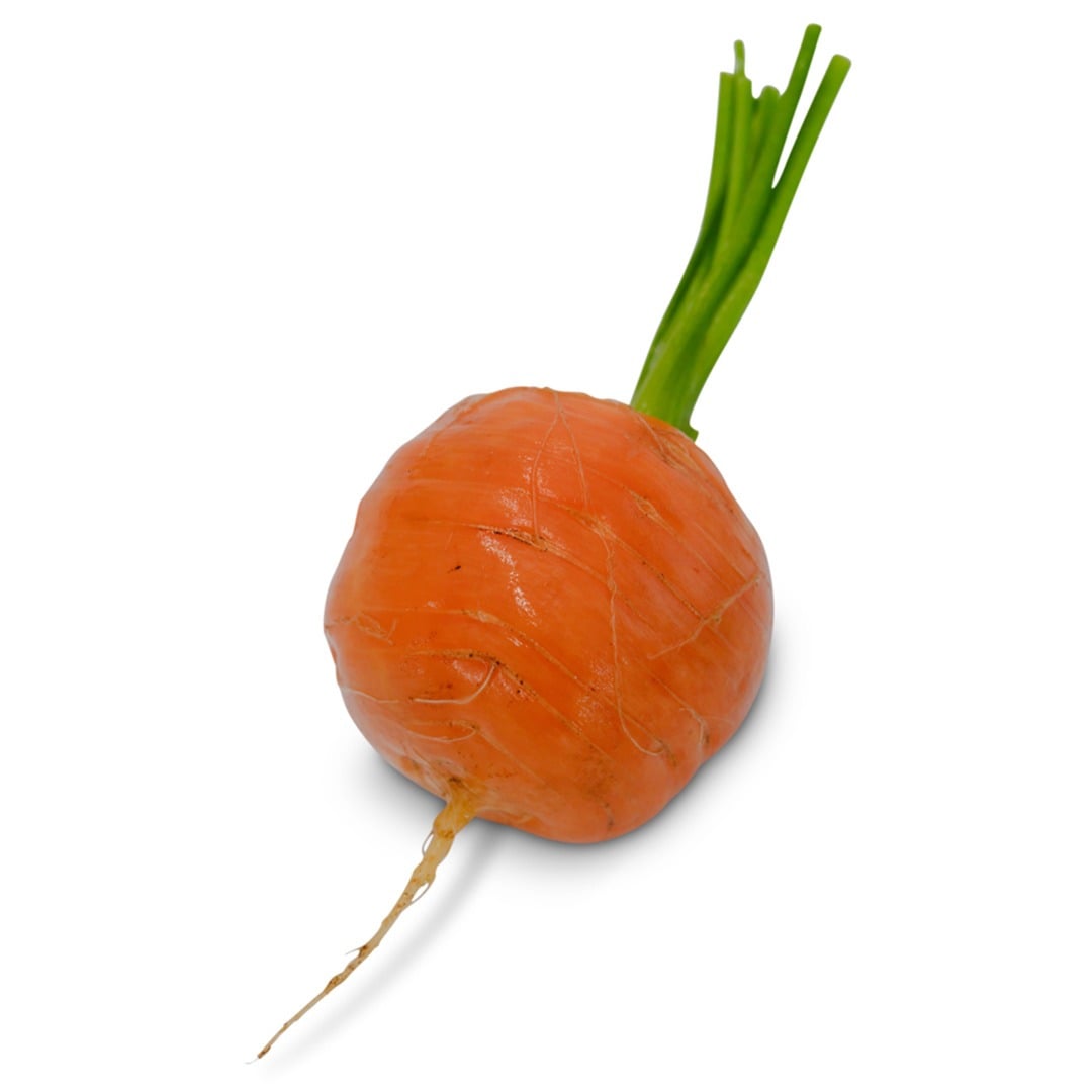 Single parisienne carrot on a white background