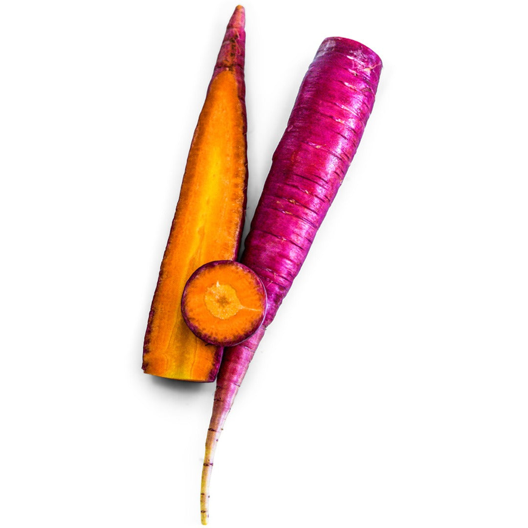 Purple Dragon Carrots on a white background.