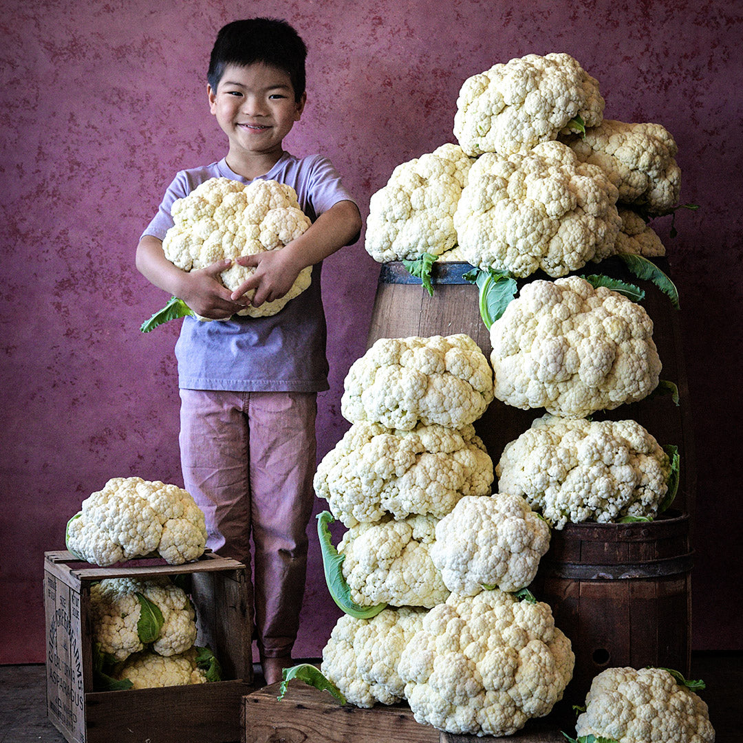 Cyan holding large Amazing Cauliflower head next to stacked heads.