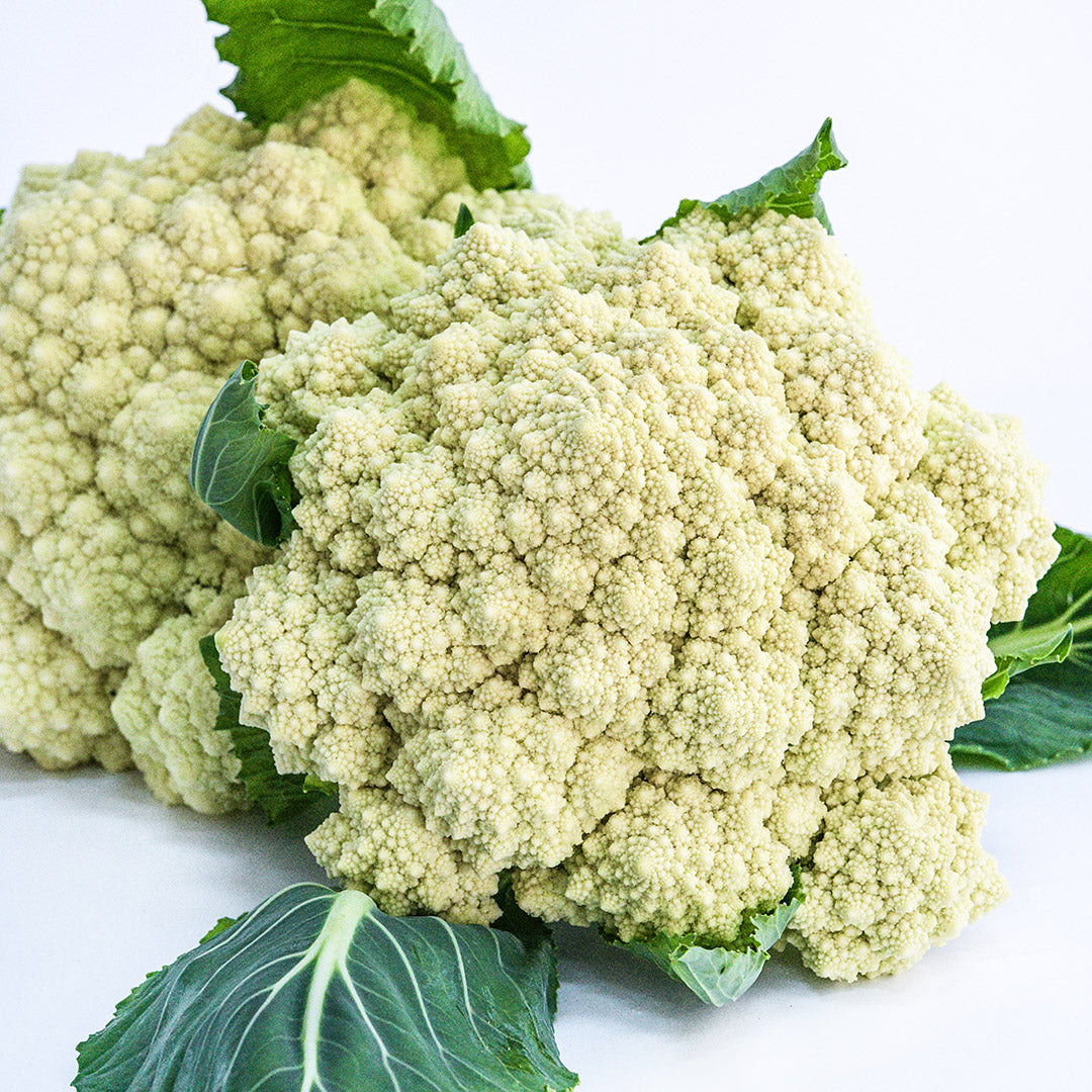 A couple of freshly cut heads of De Jesi Cauliflower on a white background.