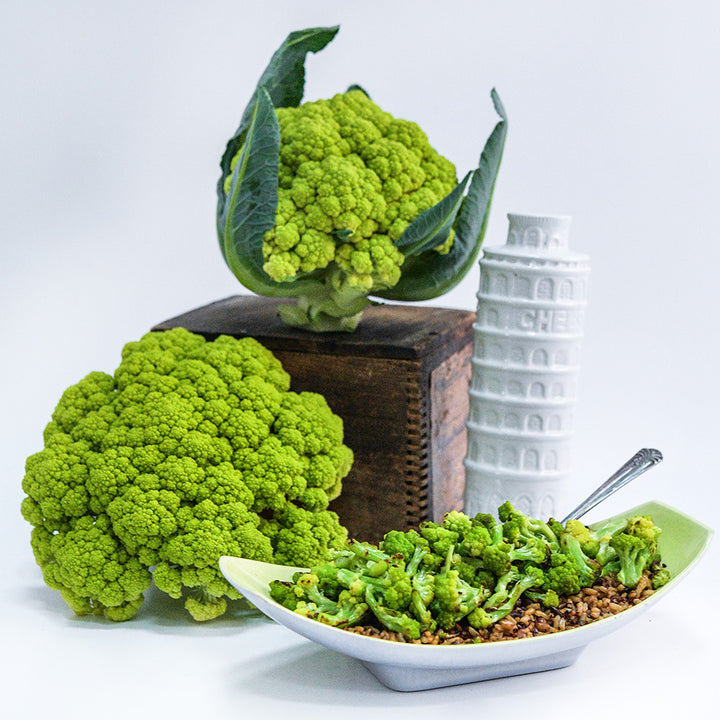 A couple of heads of Green Macerata Cauliflower with cooked cauliflower over rice.