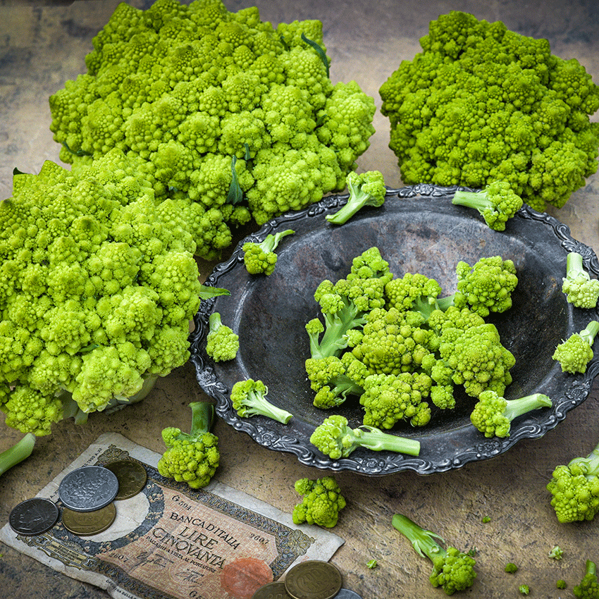Three heads of the green Romanesco Italia Cauliflower around a silver bowl filled with the florets.