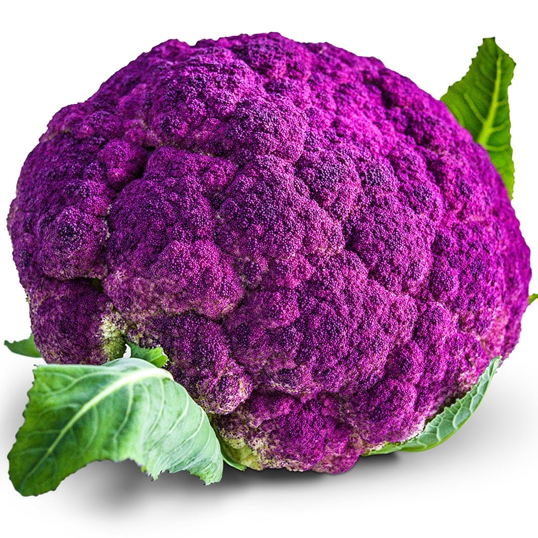 Purple of Sicily Cauliflower on a white background.