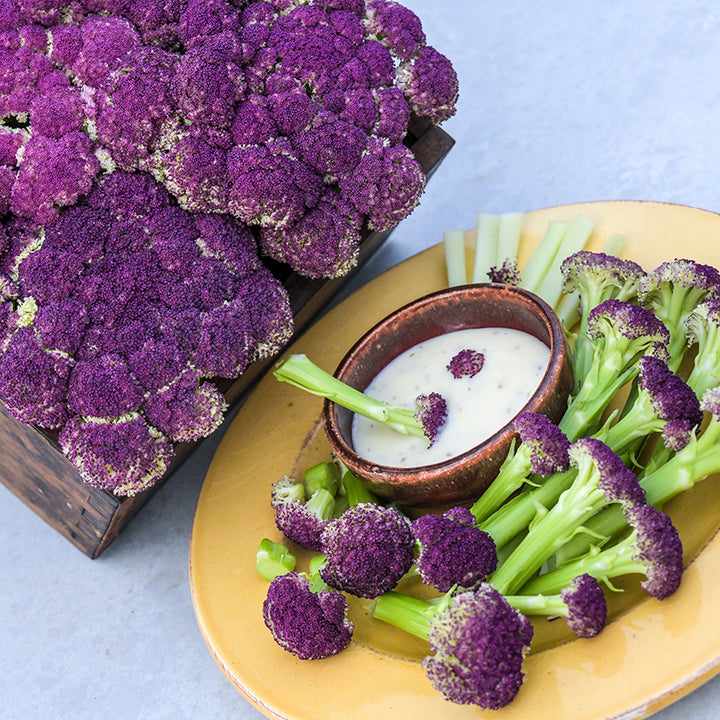 Purple of Sicily Cauliflower showing bright green stems.