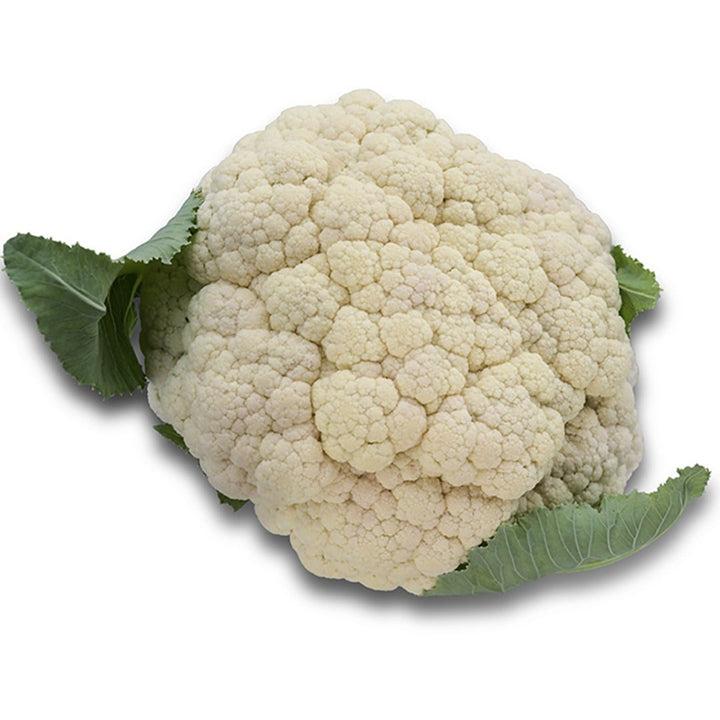 Rober Cauliflower on a white background.