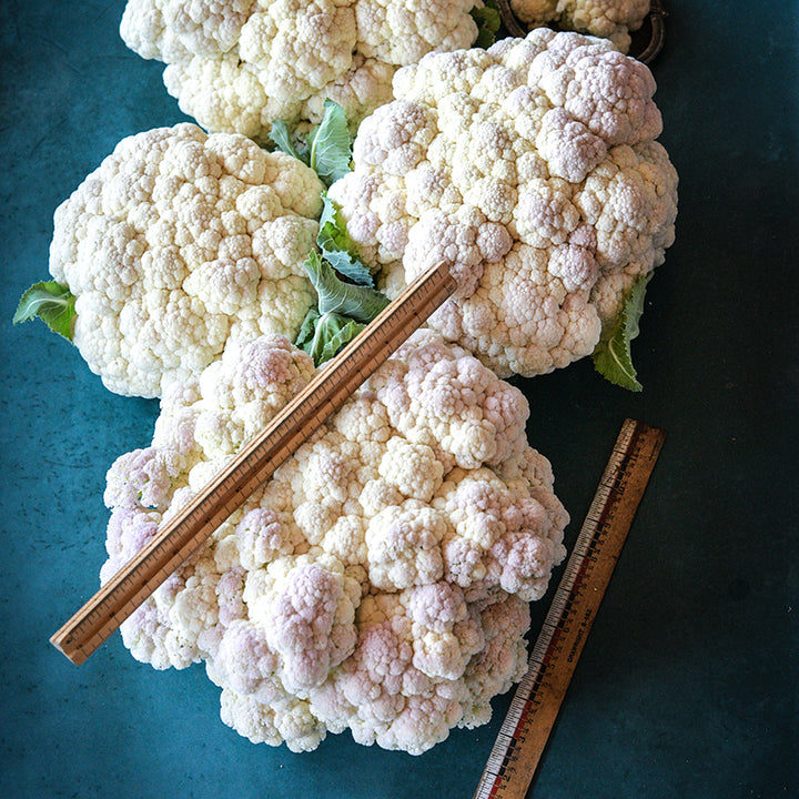 Rober Cauliflower heads with ruler.