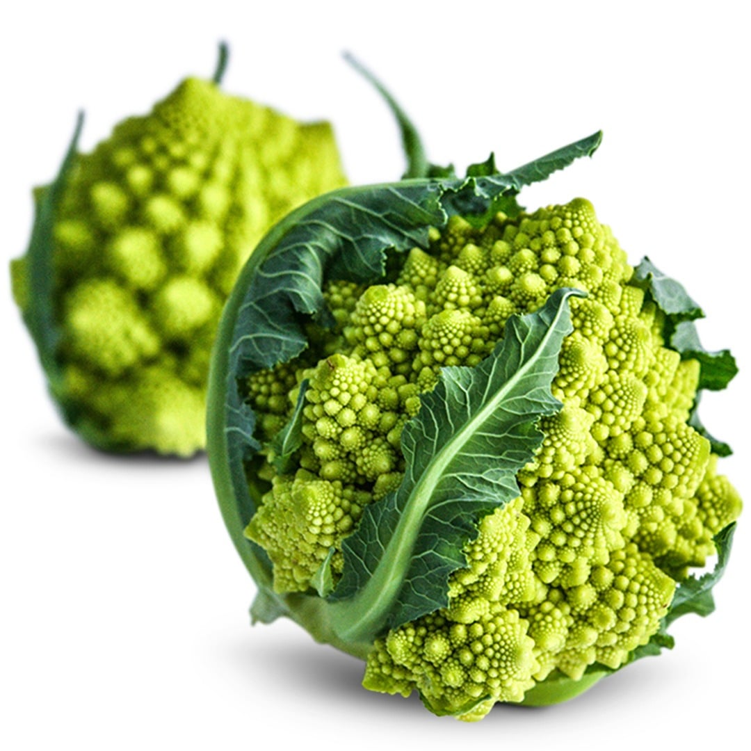 Pair of Romanesco Italia Cauliflower on a white background.