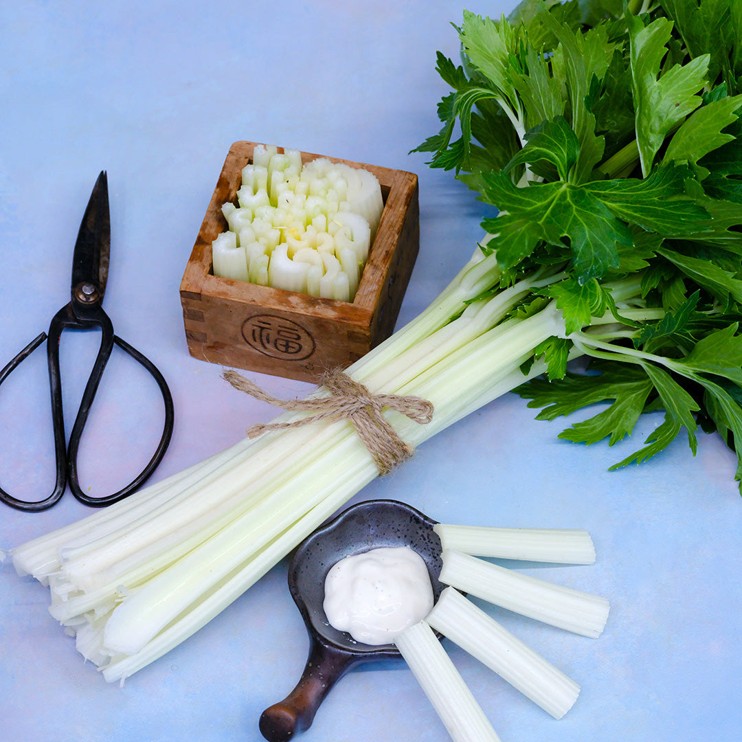 Chinese White Celery stalk bundle with cut celery on a blue background.