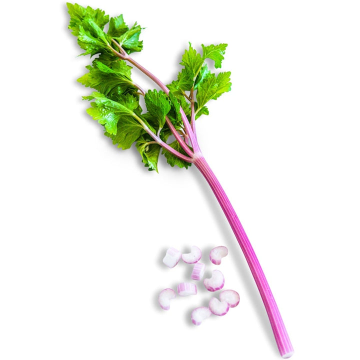 Chinese Pink Celery on a white background.
