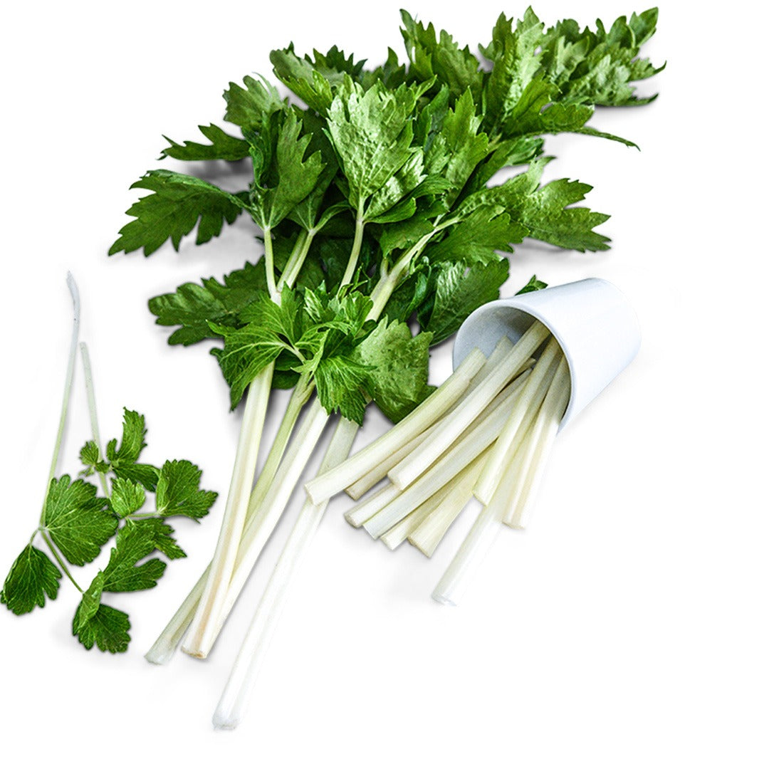 Chinese White Celery on a white background.