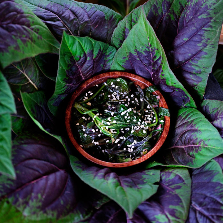 A close-up of steamed Lagos Spinach Celosia leaves in a bowl surrounded by fresh leaves.