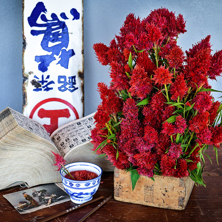 Yachiyo Hiryu Celosia in an arrangement with celosia tea and vintage Japanese tea sign.