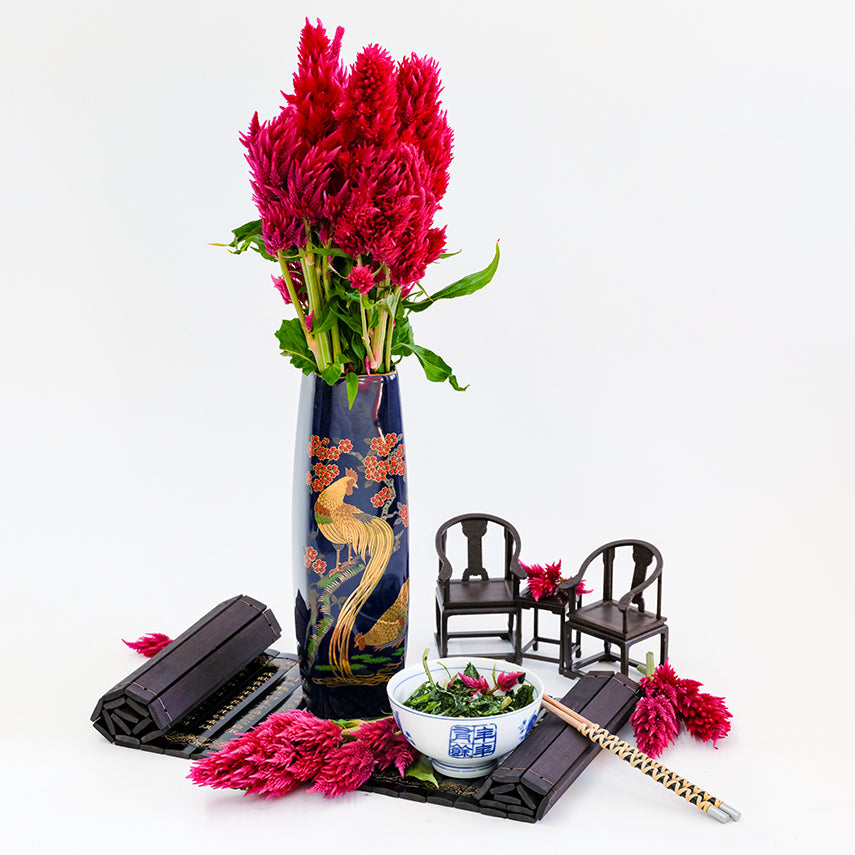An arrangement of Yachiyo Karyu Celosia with cooked leaves in a bowl on a high key background.