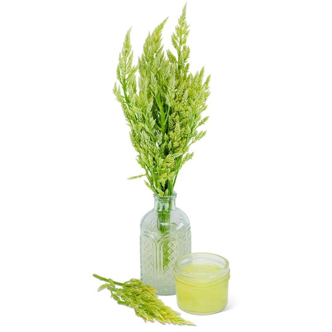 Green Sylphid celosia flowers in a glass jar on a white background.