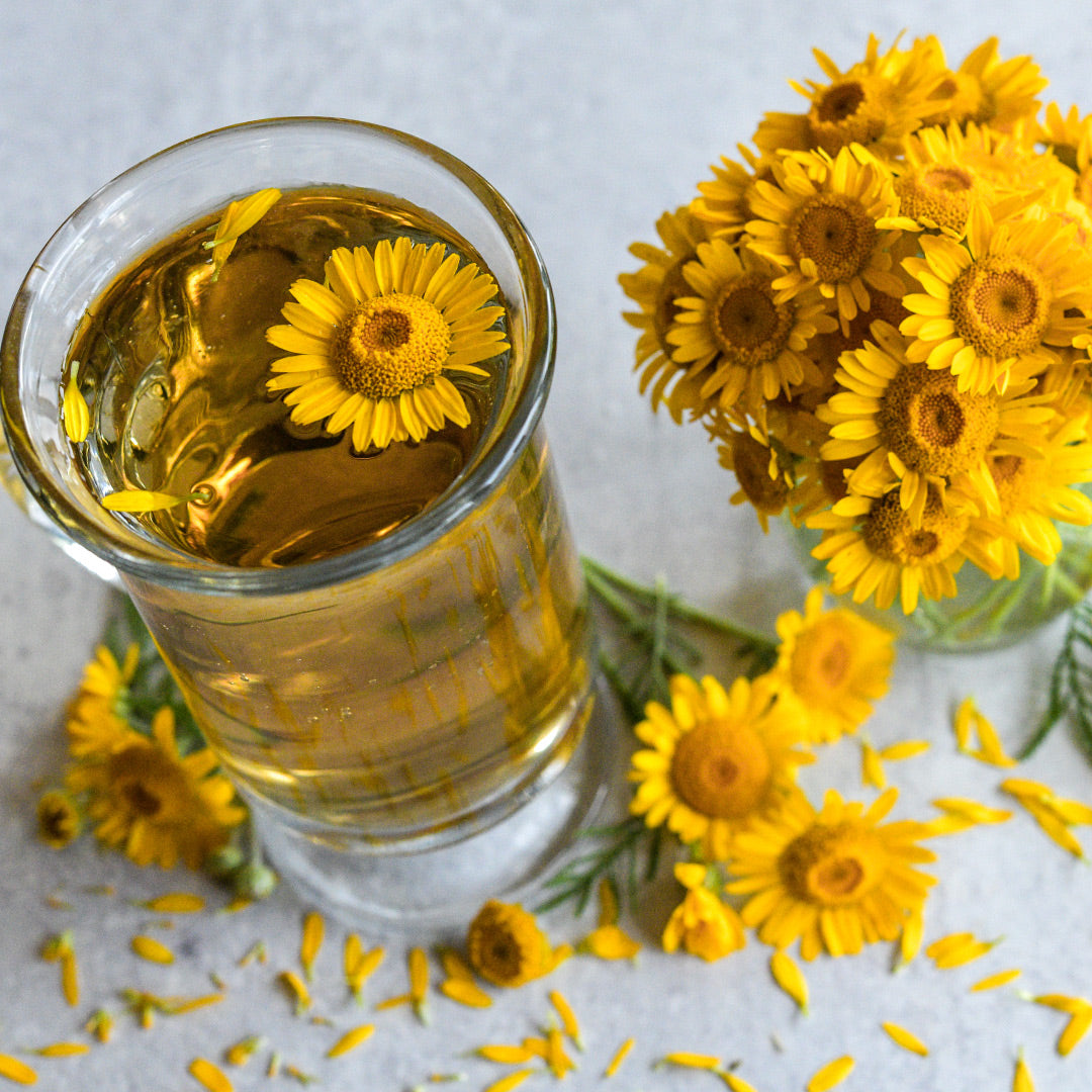 Kelway Golden Daisy flowers with tea on a light background.