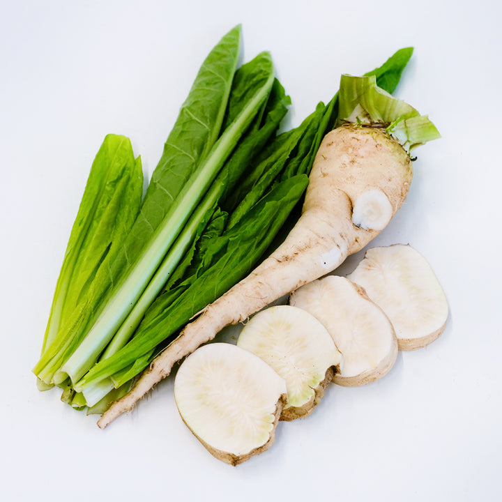Fresh Chiavari Chicory root and leaves with sliced roots on a white background.