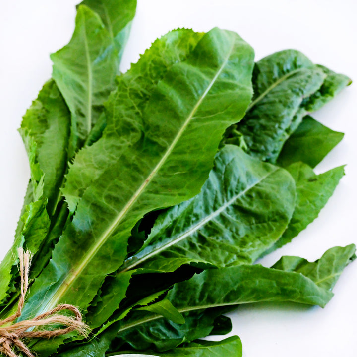 A bundle of Imero Dandelion leaves on a white background.