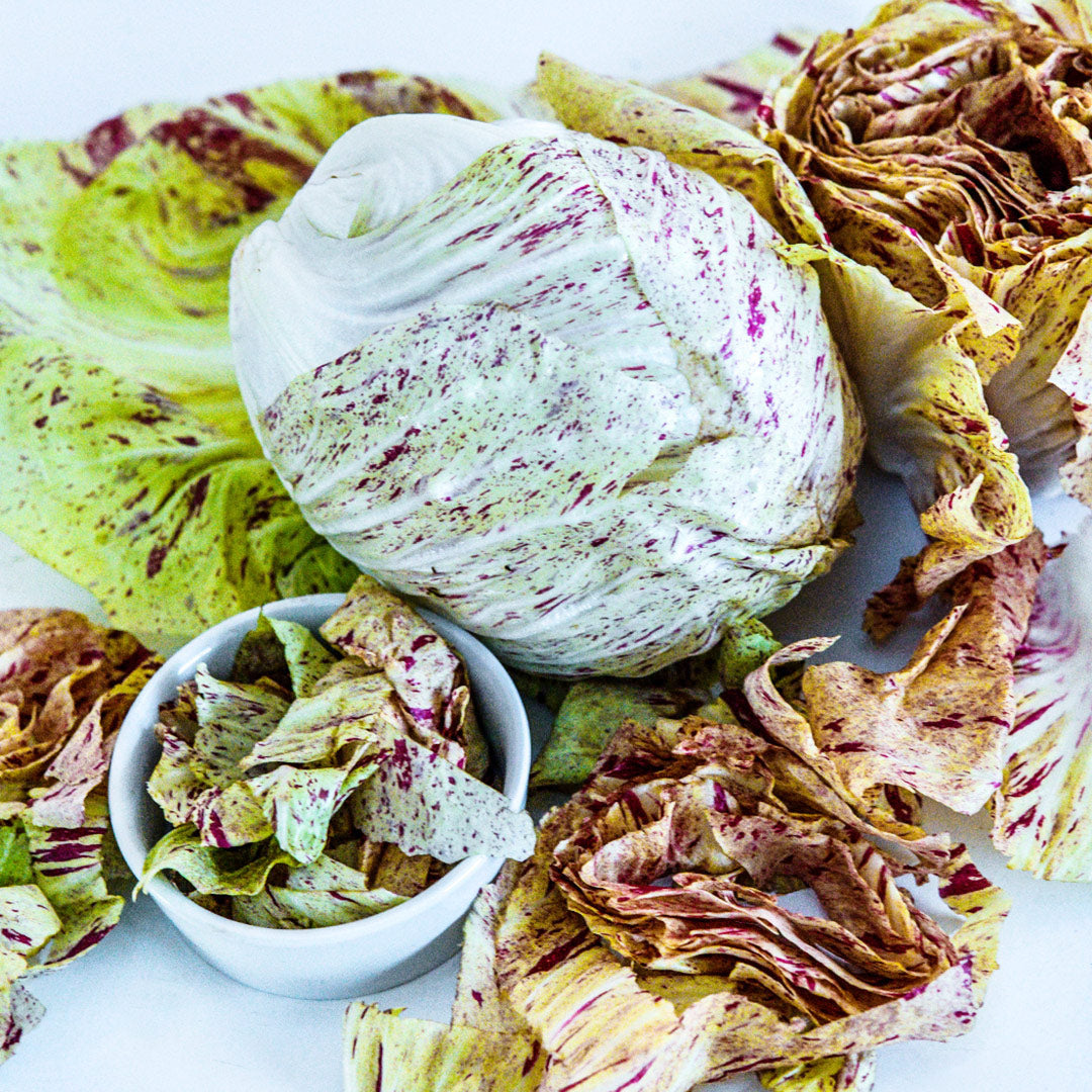 A head of Variegated of Lusia Radicchio with cut leaves.