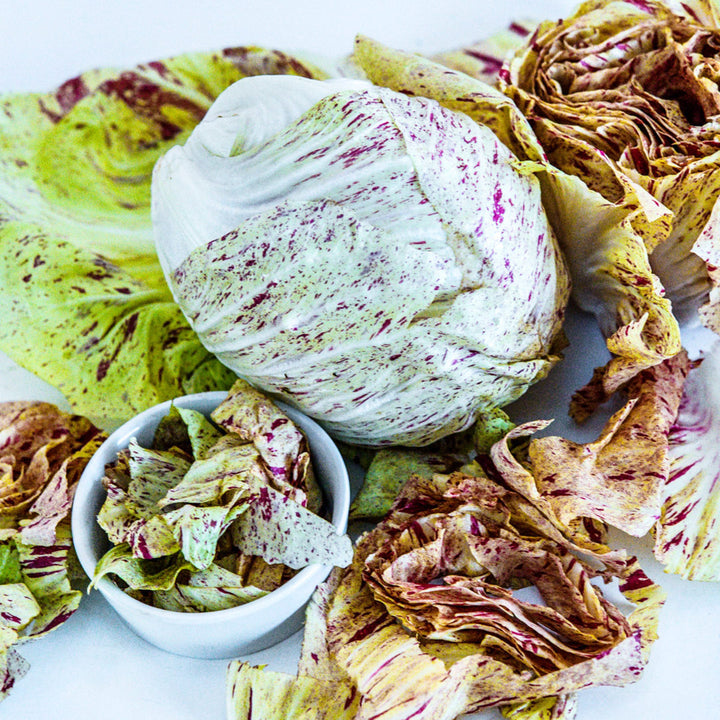 A head of Variegated of Lusia Radicchio with cut leaves.