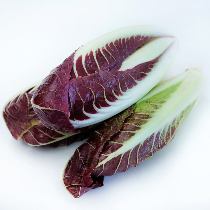 A trio of Treviso Scorze Radicchio heads on a white background.