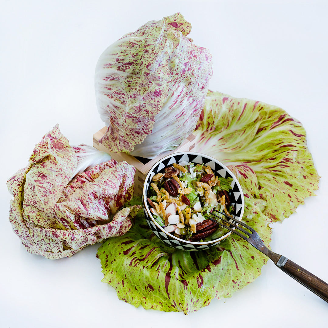 A couple of heads of Variegated of Lusia Radicchio with a bowl full of salad on a white background.
