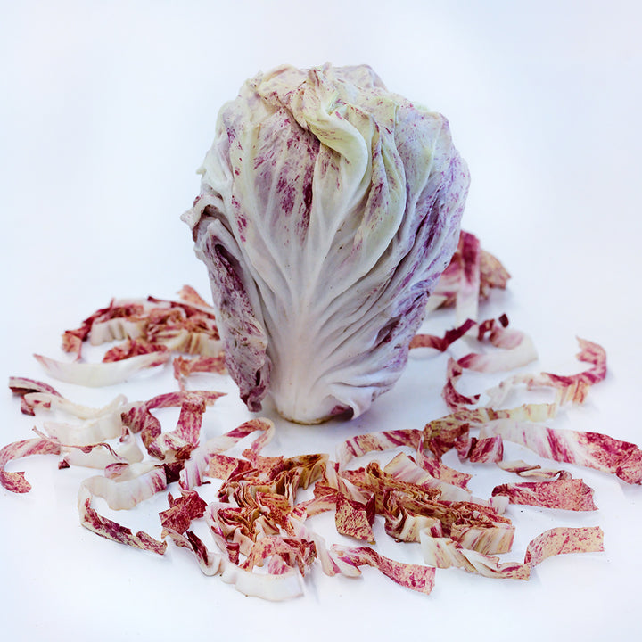 A single head of Variegated of Lusia Radicchio surrounded by cut leaves on a white background.